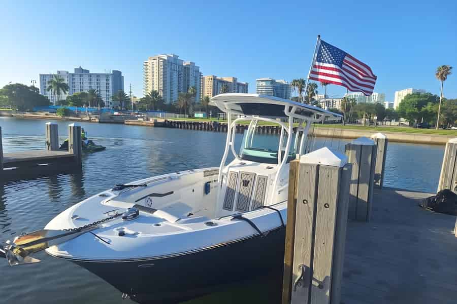 Sarasota: Bootstour mit Delfinbeobachtung und Sandbank. Foto: GetYourGuide