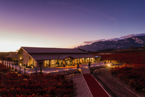 Bilbao: Rioja Wine Tour with Tastings and LunchPrivate tour option (Spanish)