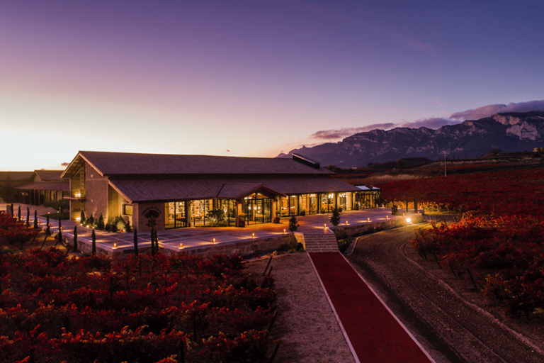 Bilbao: Rioja Wine Tour with Tastings and LunchPrivate tour option (Spanish)