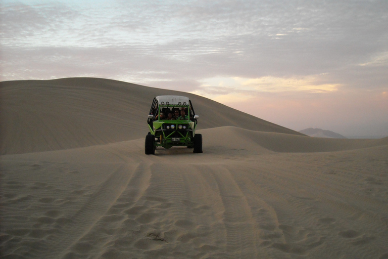 From Lima: Paracas, Huacachina, and Chincha Day Trip