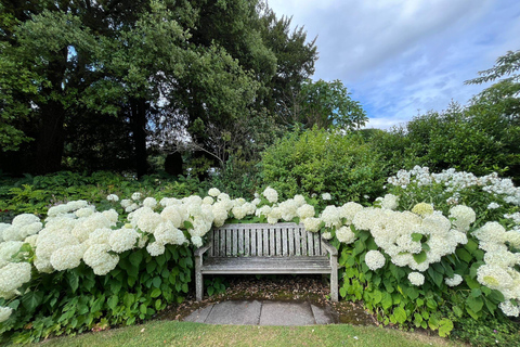 Från London: Dagsutflykt till Downton Abbey, Oxford och BamptonFrån London: Dagstur till Downton Abbey, Oxford och Bampton