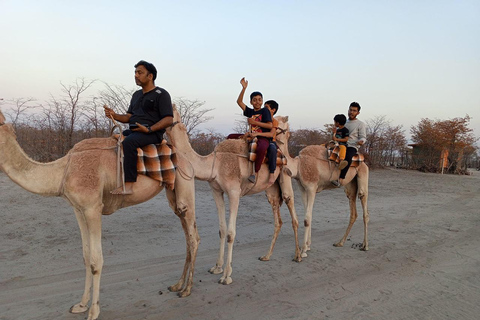 Maun, Botsuana: Safari Camel AdventureMaun, Botsuana: Aventura en safari en camello