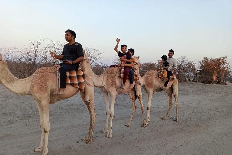 Maun, Botsuana: Safari Camel AdventureMaun, Botsuana: Aventura en safari en camello