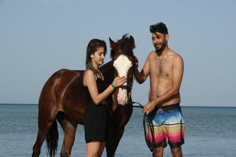 Hurghada: Tour a cavallo nel deserto e nel mare con trasferimento