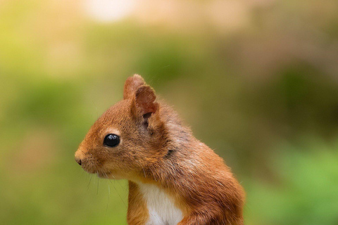 Sri Lanka: 6-Day Photography Tour with Hotel & Guide