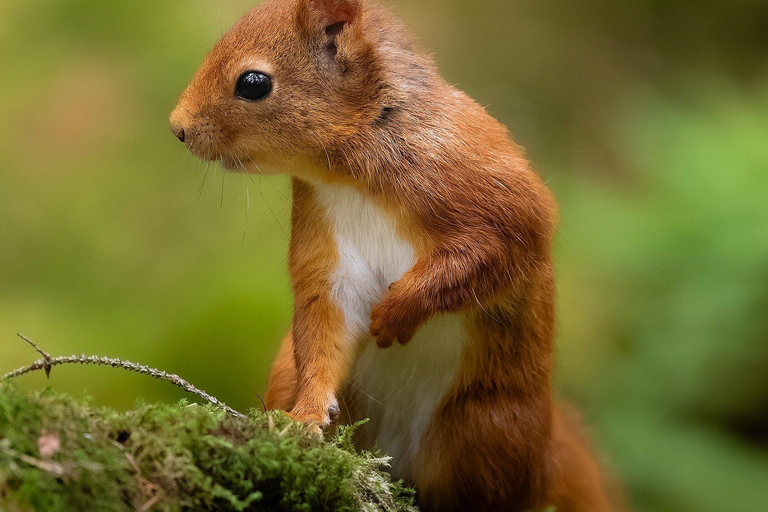 Sri Lanka: 6-Day Photography Tour with Hotel & Guide