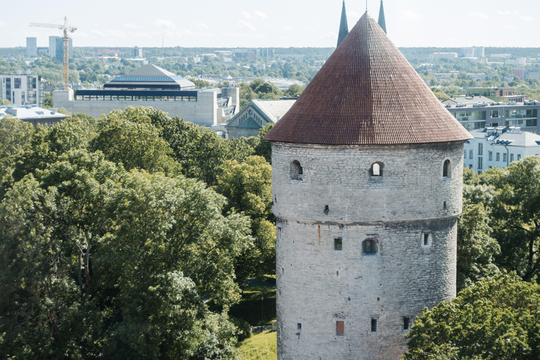 Tallinn Old Town: Medieval Stories, Estonian Food & Rooftop Complete Package: (Food & Drinks Included)