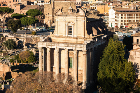 Rome: Colosseum Arena & Super Sites Early Entrance VIP Tour Chinese Tour