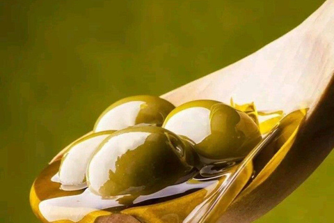 Da Hammamet: visita guidata privata di Oudhna e degustazione di olio d&#039;oliva