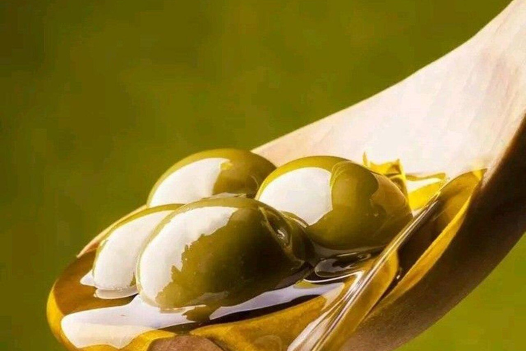 Da Hammamet: visita guidata privata di Oudhna e degustazione di olio d&#039;oliva