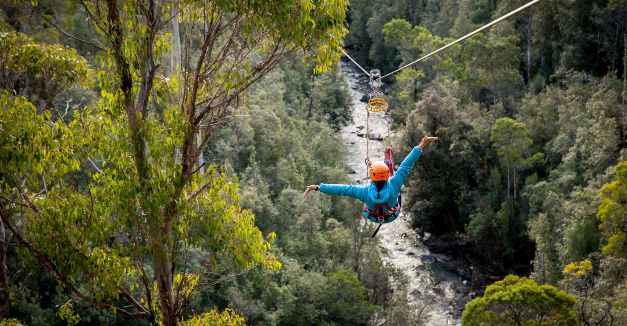 Launceston, Hollybank Forest Treetop Zip Lining with Guide - Housity