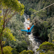 Launceston: Hollybank Forest Treetop Zip Lining with Guide | GetYourGuide