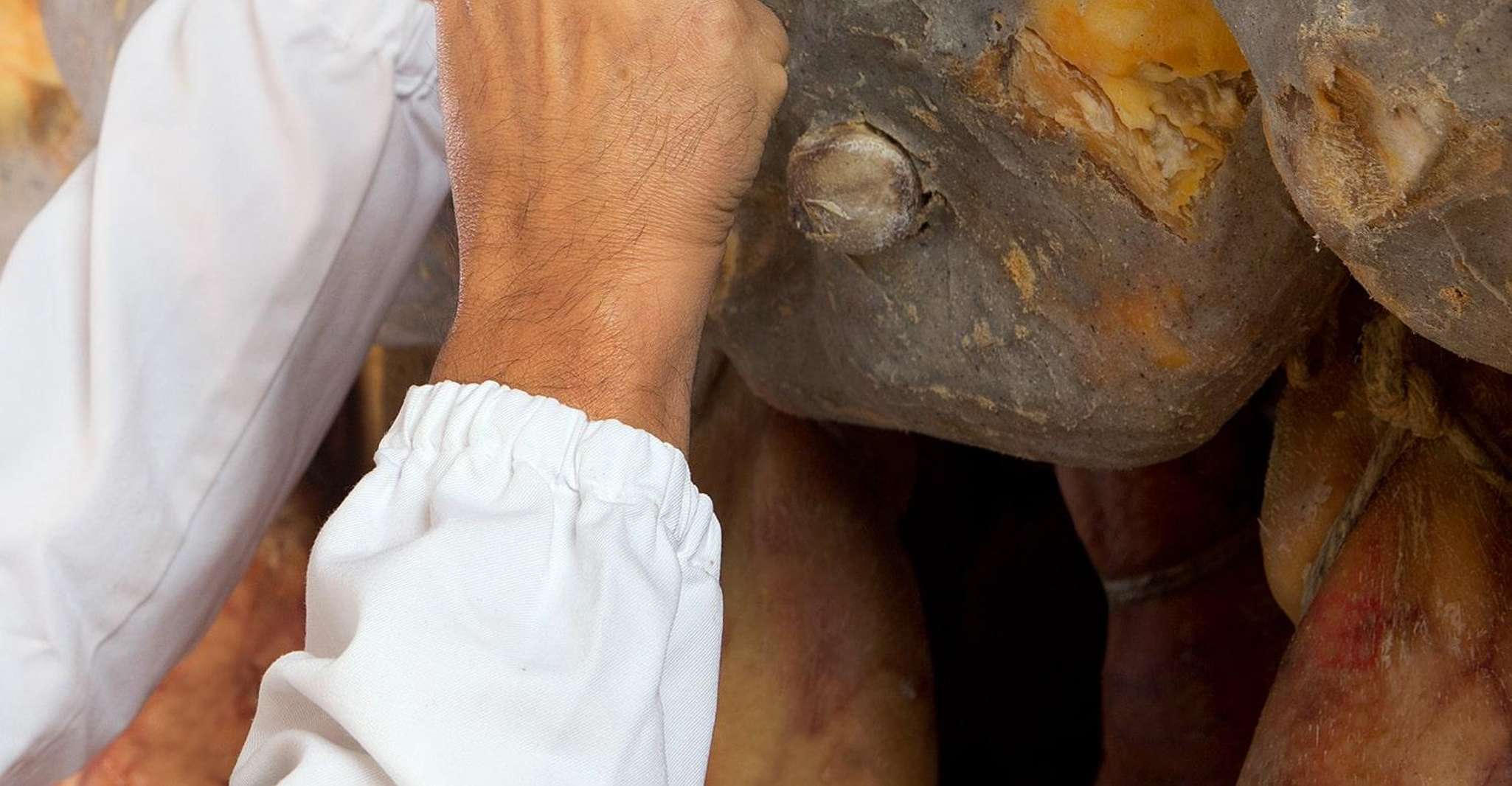 Parma, Prosciutto di Parma Tour - Housity