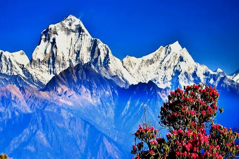 Poon Hill Trekking from Kathamndu