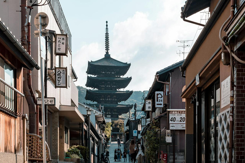 Private Kyoto & Nara Day Tour with English Driver Guide⭐BEST