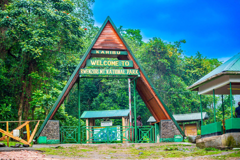 From Kampala: 6-Day Gorillas, Chimpanzees and Rwenzori Tour