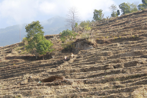 De Katmandu: Trekking de 13 dias na colina Poon e no acampamento base do AnnapurnaDe Katmandu: 13 dias de caminhada na Colina Poon e no acampamento base do Annapurna