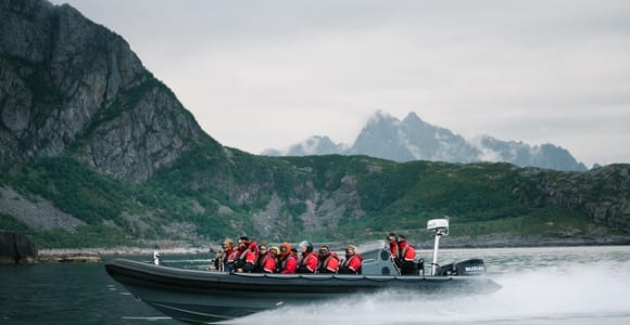 From Svolvær: RIB Boat Lofoten Trollfjord Sea Eagle Safari