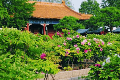 Beijing: Jingshan Park Admission Ticket