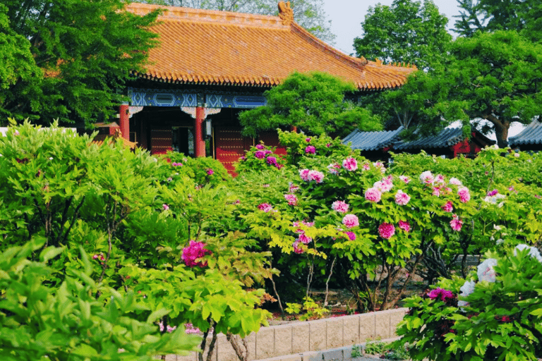 Pequim: Ingresso para o Parque Jingshan