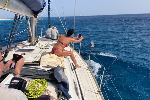 Sal, Cape Verde: Taste of the Atlantic Full day sailing Sal, Cape Verde: Atlantic PRIVATE Full day sailing