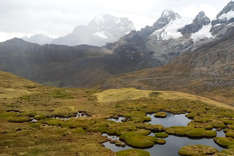 Från Huaraz/Lima: Huayhuash Mountain 11-dagarsutflykt