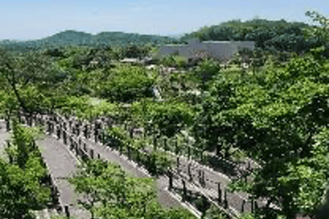 Gimpo: Gochujang-Herstellung und Besuch des Aegibong Peace Eco Park