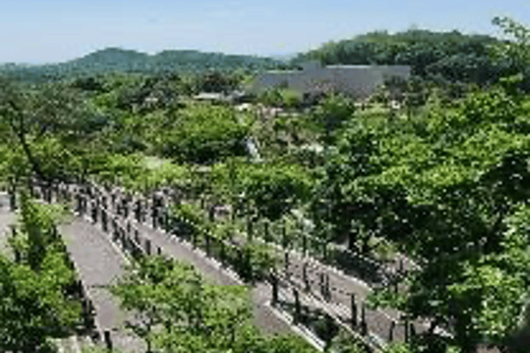 Gimpo: Gochujang maken &amp; Aegibong Peace Eco Park bezoeken