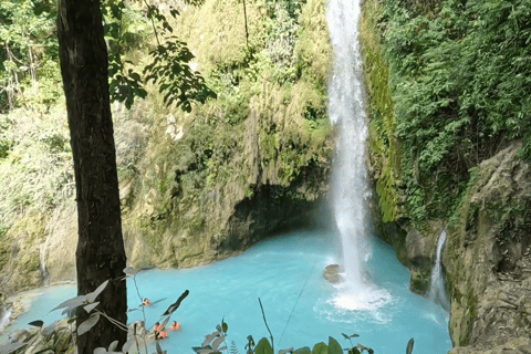 Cebu : excursion d&#039;une journée à Inambakan, Kawasan et aux chutes de Mantayupan