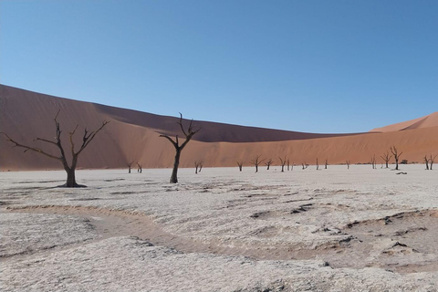 10 Days Taste of Namibia | Auto Tour Camping