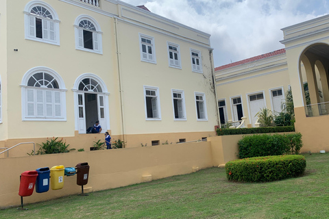 Manaus: Historical City Tour Historical City Tour