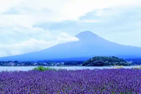 Tokyo: Mount Fuji and Lake Kawaguchi Scenic 1-Day Bus Tour