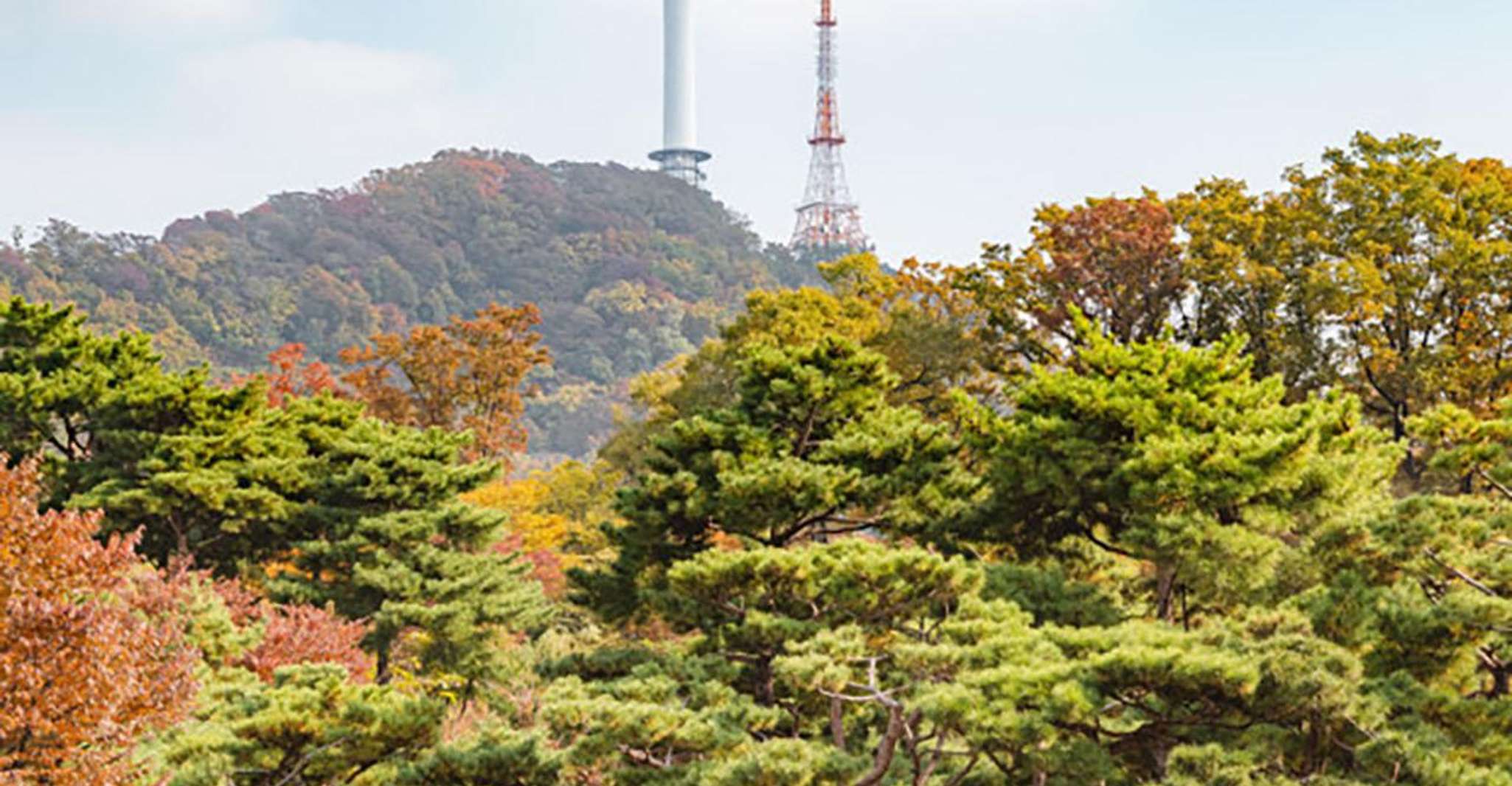 Personal driver Seoul or day trip to Jeonju Hanok Village - Housity