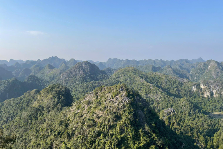 Half day Hiking Cat Ba National Park With guide