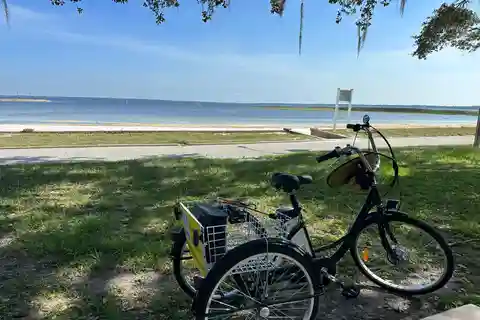 Kissimmee: Experimente o Wild Florida Nature All Electric Trike