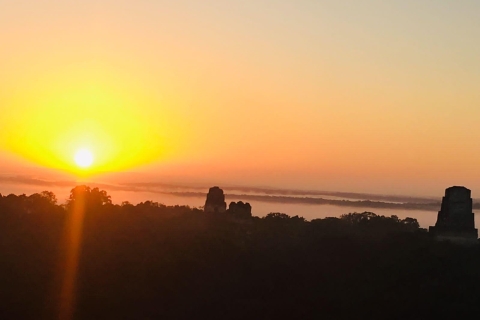 Tikal Sunrise from Flores /More Archaeological Tour /2 Tours