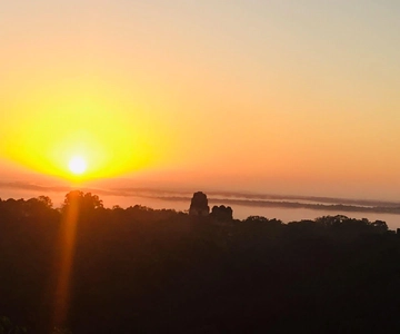 From Flores: Tikal Sunrise Archaeological Tour