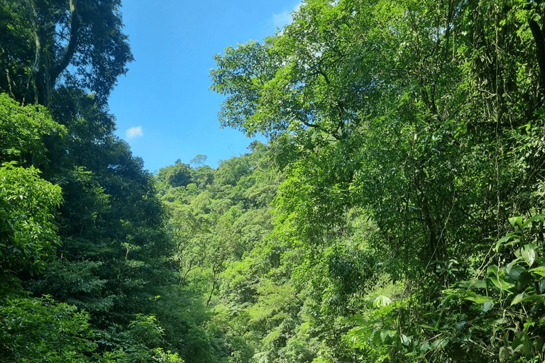 São Paulo: Waterfalls Hike, Beach View, & Chairlift Tour