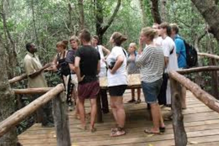 Zanzibar: escursione di un giorno nella foresta di Jozani e nella baia delle mangrovie con pranzo