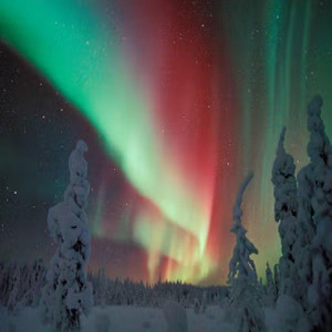 Visit Aurora Trek With Snowshoes in Ivalo