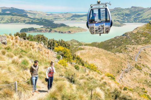 Visite combinée de la télécabine et du tramway de Christchurch
