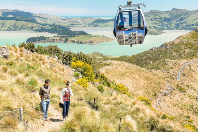 Visit Christchurch Gondola and Tram City Tour Combo in Christchurch