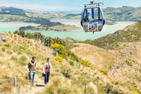 Christchurch Gondola et Tram City Tour Combo - Hizvo
