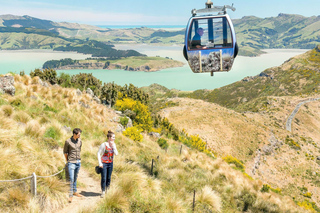 Christchurch: Sightseeing Tours