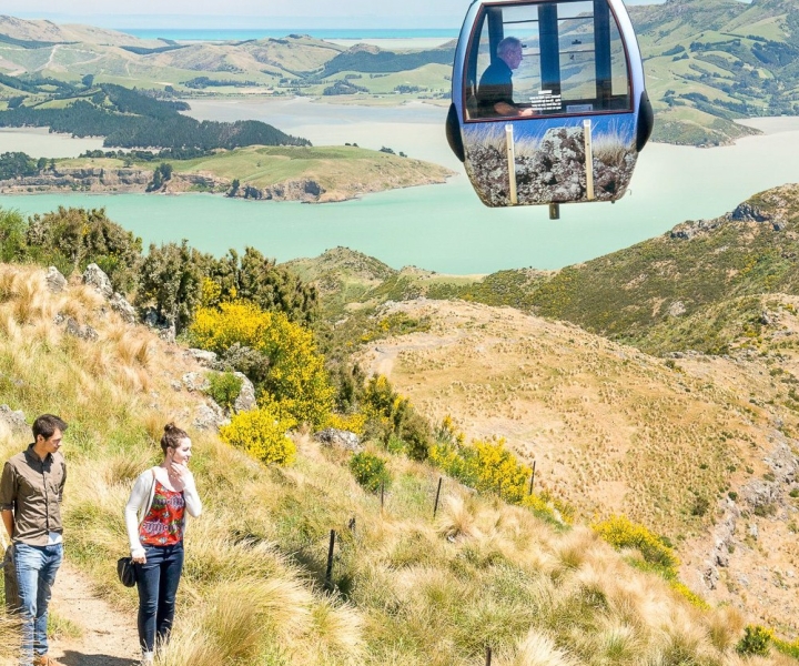 Combinazione di tour della città in gondola e tram di Christchurch