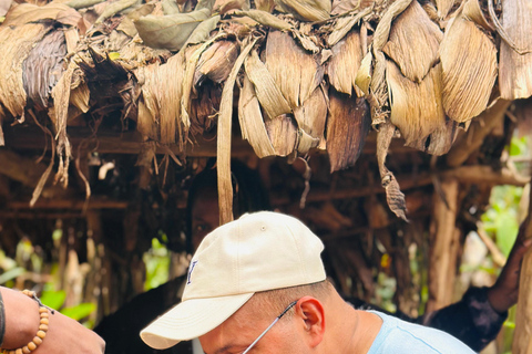 Moshi: Materuni waterval en koffietour met lokale lunch