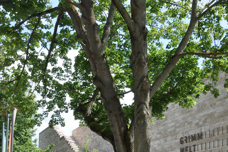 Siguiendo los pasos de los hermanos Grimm en KasselTras las huellas de los hermanos Grimm en Kassel