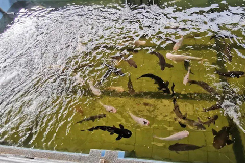 Seaside Charms &amp; Eco Discoveries: Morib to Bagan Lalang