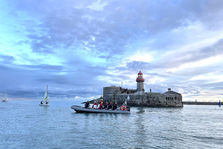 Guided Boat Tour around Dublin Bay