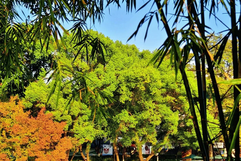 Guilin: Guided Walking Tour with Night Market Visit